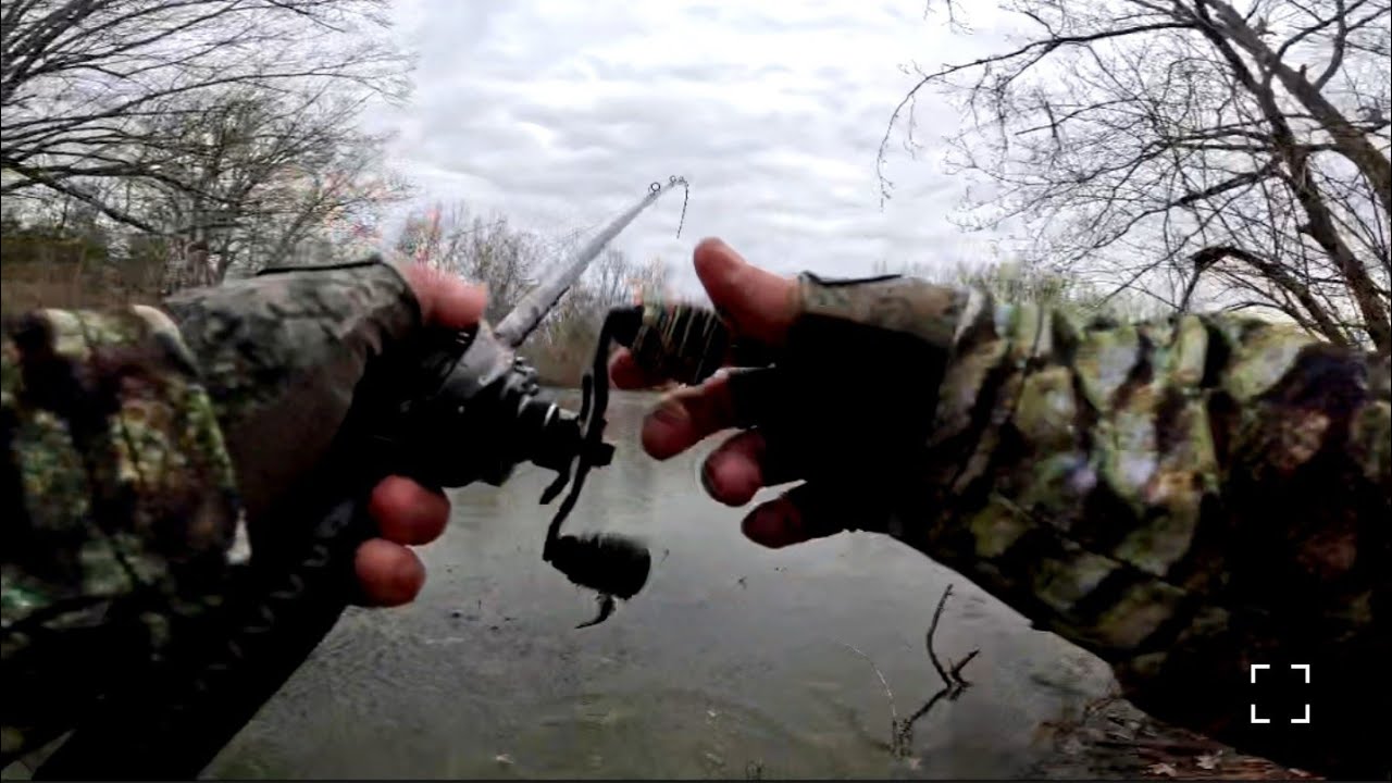 Bass Fishing Local Park Pond