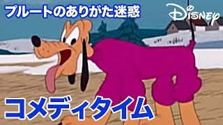 Disney コメディタイム／ショートアニメ｜プルートのありがた迷惑