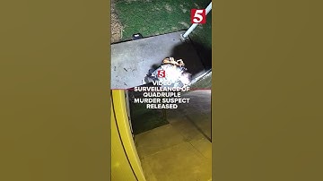 Thumbnail of Video surveillance of quadruple murder suspect released