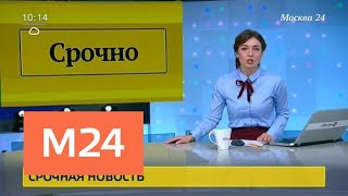 Около 30 бездомных собак и кроликов сгорели в приюте на северо-западе Москвы - Москва 24 Около 30 бездомных собак и кроликов сгорели в приюте на северо-западе Москвы - Москва 24