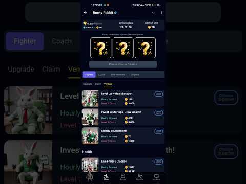 Rocky rabbit combo