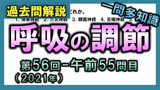 【過去問解説：第56回-午前55問目】呼吸の調節【理学療法士・作業療法士・言語聴覚士・看護・柔整・鍼灸】