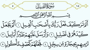 سورة الفيل || الشيخ أنس العمادي