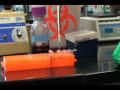 Mastering 10-Fold Cereal Dilutions in the Laboratory