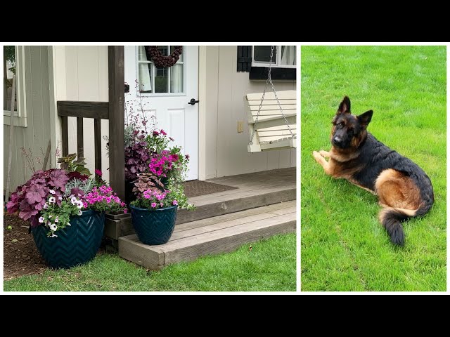 Planting a Trio of Containers & a Visit with Mollie! // Garden Answer
