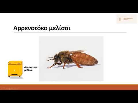 Πως σώζουμε το