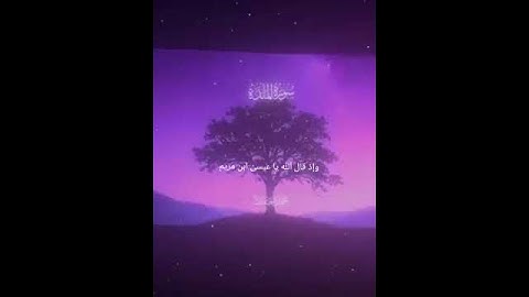 سورة المائدة |116| #اكسبلور #لايك
