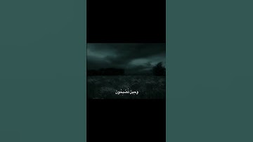 فَسُبْحَانَ اللَّهِ حِينَ تُمْسُونَ وَحِينَ تُصْبِحُونَ | محمد صديق المنشاوي | سورة الروم