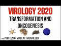 Virology Lectures 2020 #18: Transformation and Oncogenesis