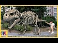 티라노 공룡뼈가 살아났다! 공룡 화석 쥬라기 전동차 자동차 장난감 색깔 마법 놀이 TREX skeleton Dinosaur Pretend Play  [제이제이 튜브-JJ tube]