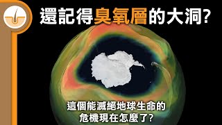 還記得臭氧層的大洞嗎? 這個滅絕地球生命的危機現在怎麼了? (繁體中文字幕)