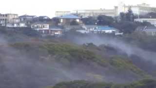 20150310小網代の森を駆ける雲と河津桜