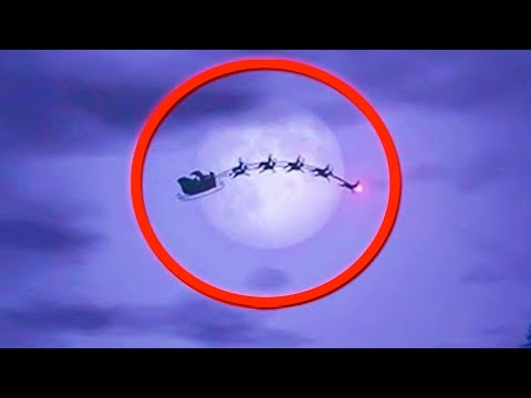 Video: Santa's 9 Reindeer, Spotted Before Christmas!