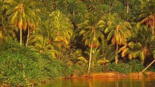 Caetano Veloso-Mi Cocodrilo Verde