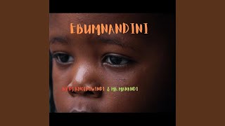 Ebumnandini