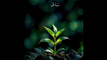 #القرآن - الكريم/تلاوة خاشعة #راحة_نفسية  الشيخ ياسر الدوسري #سورة_النور