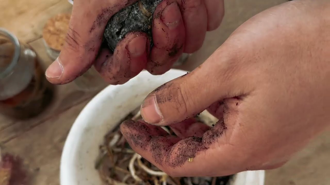 XXIX Aniversario MAEM | DERIVAS - MARCELO NITOR | Pacto