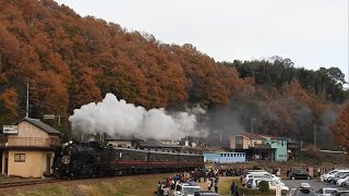 ﾃｽﾄ [ﾗｽﾄﾗﾝ]『C11325・SLもおか(東武鉄道売却前最終運行)[6002レ]』2019/12/1(真岡鐵道・茂木駅～天矢場駅｢道の駅もてぎ｣) # 真岡鉄道