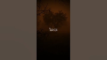 قال_لاتخافا.. تلاوه هادئة أكتب شيئ تؤجر عليه 🎧😴