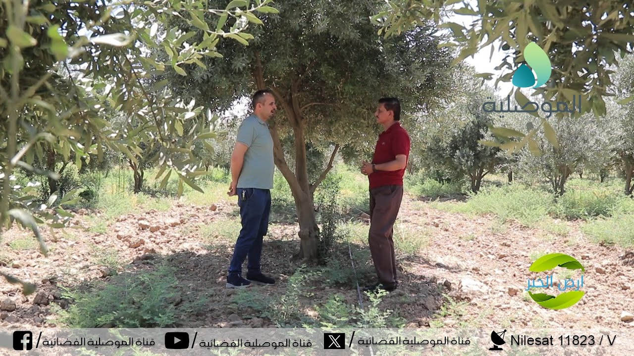 أرض الخير - ناحية وانة