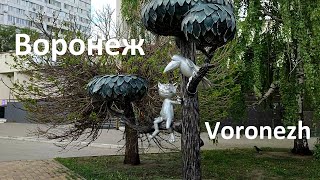 Мы снова в Воронеже. Воронеж год спустя. Voronezh. Poor Russia???