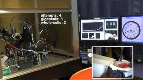 patcherBot in vivo operation (pipette cleaning and blood vessel dodging)