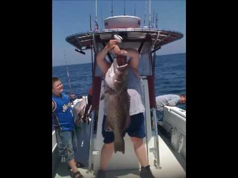 Deep Sea Fishing Panama City Beach - 850-625-5383 ...