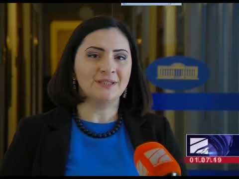 სოფო კილაძე: „რაც არ უნდა გააკეთოს ხელისუფლებამ, ყოველთვის ზოგიერთი პარტია გამონახავს საკრიტიკოს“