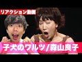 森山良子の小犬のワルツを一緒に観たい!【リアクション動画】