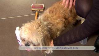 Vidéo youtube produit ID 2483