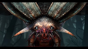 Investigation extraction after match time end | Hunt Showdown  - Bug