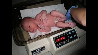 HOW MANY OUNCES ARE IN 5 POUNDS?