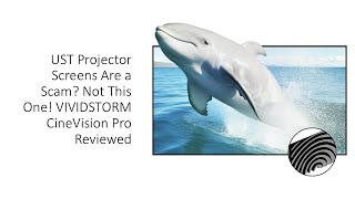 UST Projector Screens Are a Scam Not This One! VIVIDSTORM CineVision Pro Reviewed