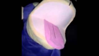 Jeremy The Puppet By Eli