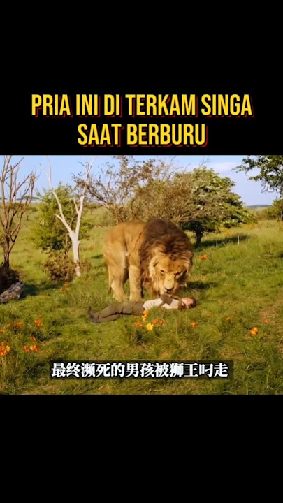PRIA INI MEMILIKI KEKUATAN SINGA SETELAH DI TERKAM #alurceritaflim #film