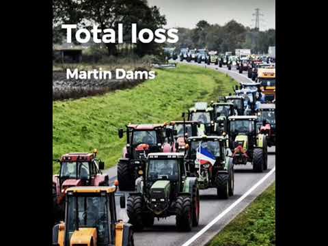 Total loss - Martin Dams