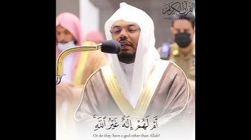 تلاوة خاشعة 🥺💔 ياسر الدوسري اجمل حالات واتس اب دينية سورة الطور  ام لهم إله غير الله ...