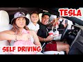 Letting Our Tesla DECIDE What We EAT For 24 Hours!  (SELF DRIVE)