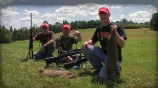 Long Range Amazing Shot Groundhogs