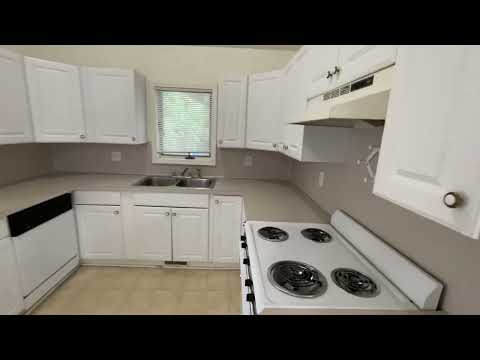 427 Pine Ave, Grand Rapids, MI home video tour