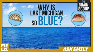 Why is Lake Michigan so Blue? | Ask Emily