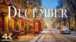 Beautiful Winter in December 4K โ๏ธ A Season of Reflection, Quiet Light, and Hope on the Horizon