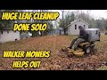 Huge leaf cleanup done solo | Walker Mowers mulching