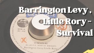 Barrington Levy , Little Rory - Survival 【 Reggae Vinyl Records 】