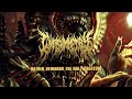IN ASYMMETRY - HATRED TOWARDS THE HOLY CREATURE [OFFICIAL LYRIC VIDEO] (2021) SW EXCLUSIVE