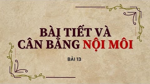 Sinh 11 - Bài 13 Bài tiết và cân bằng nội môi