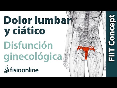 Vídeo: Dolor Del ángulo Costovertebral: Causas, Tratamientos Y Más