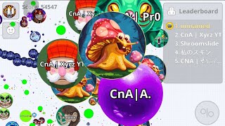 CNA CLAN AGARIO