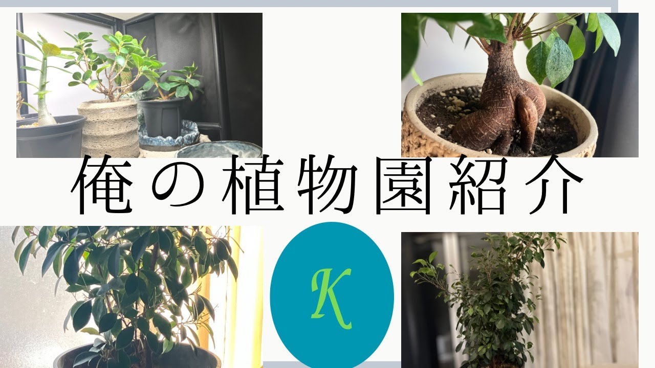 「暮らし」130kg男秘密の植物園紹介