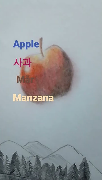 how-to-say-como-decir-apple-manzana-en-coreano-korean-rumano